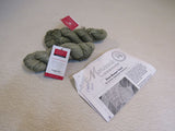 Zen Yarn Garden Serenity Worsted Yarn Frosted Kiwi Green 2 Skeins 175 Yards Each -- New