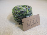 Manos Del Uruguay Alegria Yarn Botanico 1 Ball 445 Yards Green/Blue/Gray -- New