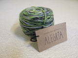Manos Del Uruguay Alegria Yarn Botanico 1 Ball 445 Yards Green/Blue/Gray -- New