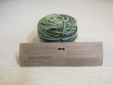 Manos Del Uruguay Alegria Yarn Botanico 1 Ball 445 Yards Green/Blue/Gray -- New