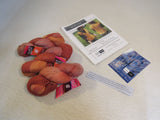 Fleece Artist Woolie Silk 3Ply Hand Dyed Yarn Amber 3 Skeins 252 Yards Each -- New