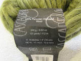 Cascade Yarns Magnum Yarn Sage Green 1 Skein 123 Yards -- New