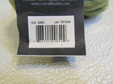 Cascade Yarns Magnum Yarn Sage Green 1 Skein 123 Yards -- New