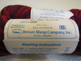 Brown Sheep Co Inc Handpaint Wildfoote Luxury Sock Yarn 2 Skeins 215 Yards Each -- New