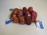 Lanas Puras Melosa Hand Painted Yarn Desert Bloom 4 Skeins 215 Yards Each -- New