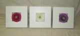 Gerber Decorative Wall Frames Lot of 3