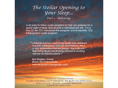 The Stellar CEO The Stellar Opening To Your Sleep Chikeola Karimou 2 CD Set -- New
