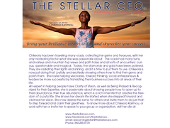 The Stellar CEO The Stellar Opening To Your Sleep Chikeola Karimou 2 CD Set -- New