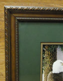 Saunders Framed Art Bald Eagle 11in x 15 1/2in Wood Glass Paper -- Used