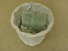 Standard Flower Pot With Foam 6in Diameter x 5 1/2in H White Cardboard -- New