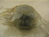 Minn Par Bearing Model SP1300 for Rex Roller 298-00314-02 Metal -- New
