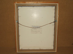 Vandepoll Picture Frame Birdhouse 19in x 16in x 3in Whitewash/Beiges Folk -- Used