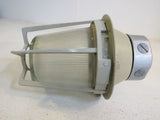 Appleton Caged Outdoor Light Fixture 600W 11in x 7.5in PS 30 2790 Metal Glass -- Used