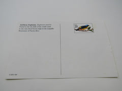 USPS Scott UX293 20c Antillean Euphonia Postal Card Tropical Birds -- New