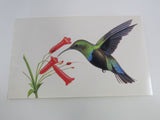 USPS Scott UX294 20c Green Throated Carib Humming Bird Postal Card -- New