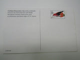 USPS Scott UX296 20c Cardinal Honeyeater Postal Card Tropical Birds -- New