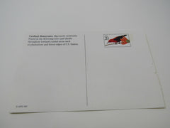 USPS Scott UX296 20c Cardinal Honeyeater Postal Card Tropical Birds -- New