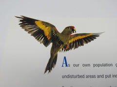USPS Vintage Endangered Species Informational Card Mint Never Hinged/MNH -- New