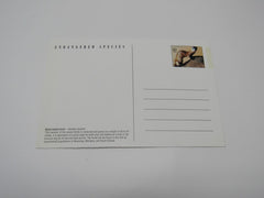 USPS Scott UX265 Vintage 20c Black Footed Ferret Endangered Species Postal Card -- New