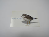 USPS Scott UX267 Vintage 20c Piping Plover Endangered Species First Day of Issue -- New