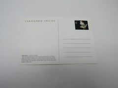 USPS Scott UX267 Vintage 20c Piping Plover Endangered Species VF (Very Fine) -- New