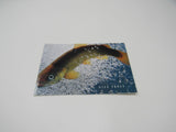 USPS Scott UX268 Vintage 20c Gila Trout Endangered Species Mint Never Hinged/MNH -- New