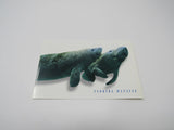 USPS Scott UX269 Vintage 20c Florida Manatee Endangered Species VF (Very Fine) -- New