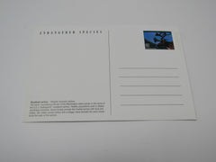 USPS Scott UX271 Vintage 20c Woodland Caribou Endangered Species VF (Very Fine) -- New
