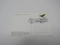 USPS Scott UX272 Vintage 20c Thick Billed Parrot Endangered Species Postal Card -- New