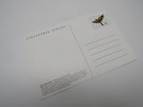 USPS Scott UX272 Vintage 20c Thick Billed Parrot Endangered Species Postal Card -- New
