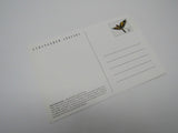 USPS Scott UX272 Vintage 20c Thick Billed Parrot Endangered Species Postal Card -- New
