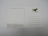 USPS Scott UX272 Vintage 20c Thick Billed Parrot Endangered Species Postal Card -- New