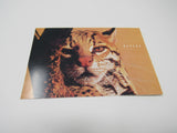 USPS Scott UX274 Vintage 20c Ocelot Endangered Species First Day of Issue -- New