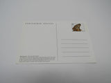 USPS Scott UX275 Vintage 20c Wyoming Toad Endangered Species VF (Very Fine) -- New