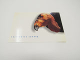 USPS Scott UX276 Vintage 20c California Condor Endangered Species VF (Very Fine) -- New