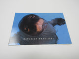 USPS Scott UX277 Vintage 20c Hawaiian Monk Seal Postal Card Endangered Species -- New