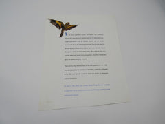 USPS Vintage Endangered Species Informational Card Mint Never Hinged/MNH -- New