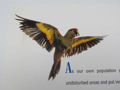 USPS Vintage Endangered Species Informational Card Mint Never Hinged/MNH -- New