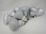 Earth Bulb/Philips/GE 10 LED Incandescent Light Bulbs White Glass -- Used