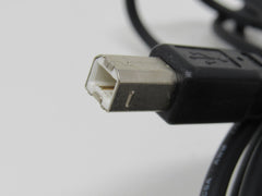 Standard USB A Plug to USB B Plug Cable 5.5 ft Male -- New