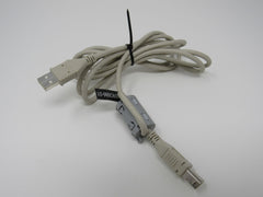 Standard USB A Plug to USB B Plug Cable 5.5 ft Male -- Used