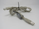 Standard USB A Plug to USB B Plug Cable 5.5 ft Male -- Used