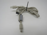 Standard USB A Plug to USB B Plug Cable 5.5 ft Male -- Used
