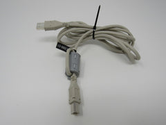 Standard USB A Plug to USB B Plug Cable 5.5 ft Male -- Used