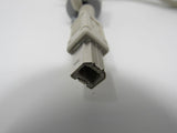 Standard USB A Plug to USB B Plug Cable 5.5 ft Male -- Used