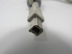 Standard USB A Plug to USB B Plug Cable 5.5 ft Male -- Used