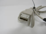 Standard USB A Plug to USB B Plug Cable 5.5 ft Male -- Used
