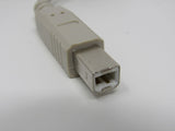 Standard USB A Plug to USB B Plug Cable 55 Inches Male -- New