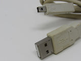 Standard USB A Plug to USB B Plug Cable 3 ft Male -- New
