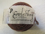 Dream Everlasting Luxurious Handpainted 12Ply DK Yarn Brown 1 Ball 275 Yards -- New
